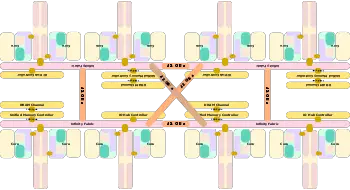 zen soc block (16 cores).svg